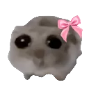 hamster_sad