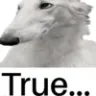 truezoi truezoi