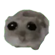 sadHamster