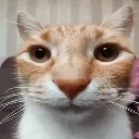 __