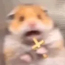jesus_hamster