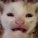 cri