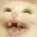 nyaha