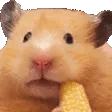 hamMunch