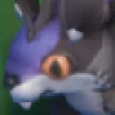 muuj