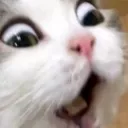 WTH
