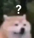 ShibaWUT