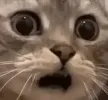 waaaa
