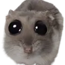 cry