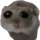 TH_sadhamster Discord emoji