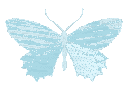 turquoisebutterfly