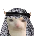 Halalcat halalcat Discord Emoji