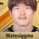 whatthesigma