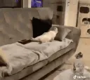 __