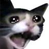 catscream