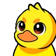 NitraDuck_Salute