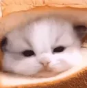 inbread