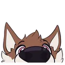 kaiclosepeek