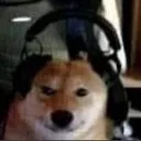 RedMc_shibaxd
