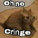 oh_no_CRINGE