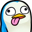 Derp