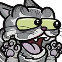 MarcyPog