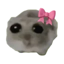 emoji_1