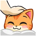 13526catpat