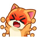 37833catangry
