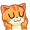 48806catuwu