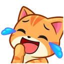 77177catlol