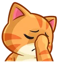 5014catfacepalm