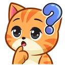 9163catconfused