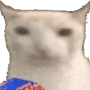 00_catchips