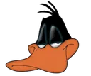 DaffyDuckSmug