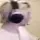 xqcomg