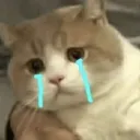 catsad
