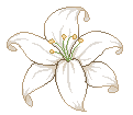 d_lily Discord emoji