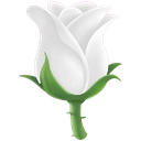 d_rose Discord emoji
