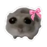 girlmous
