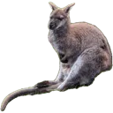 hmm