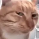 tfusay