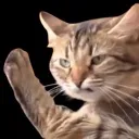 ANGYMEOW