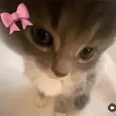 girlcat