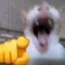 annoyinglaugh Discord emoji