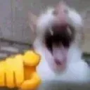annoyinglaugh