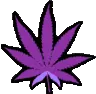 weedleaf_purple