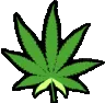 weedleaf