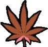 weedleaf_coral