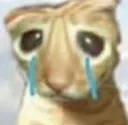 Catsad